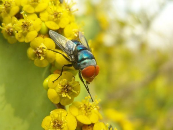 10119_784481133339_197816174_47622017_6268841_n