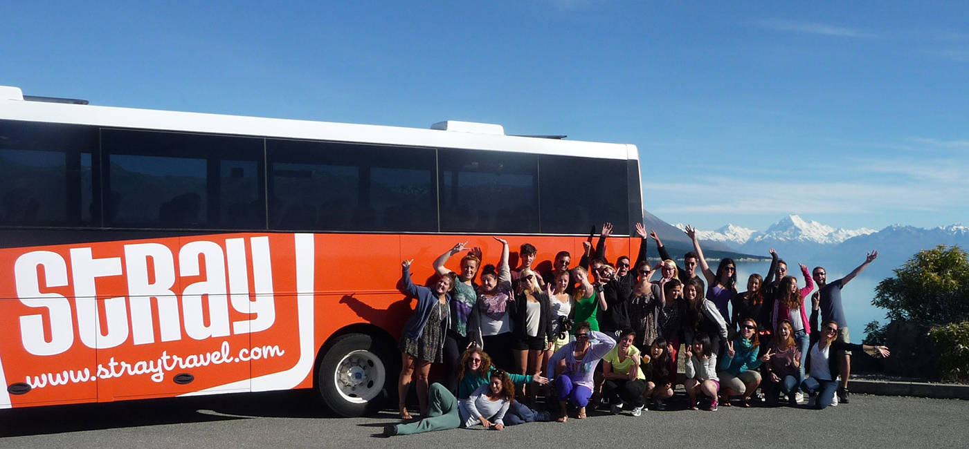 stray new zealand hop on hop off bus pass