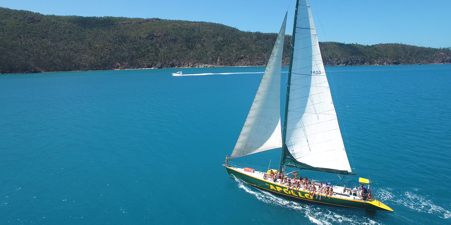 apollo whitsundays sailing adventure airlie beach whitehaven beach rtw backpackers australia