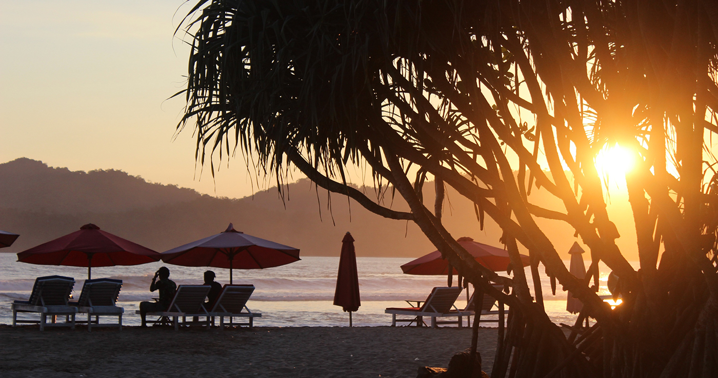 bali arrival pack canguu mojo indo indonesia