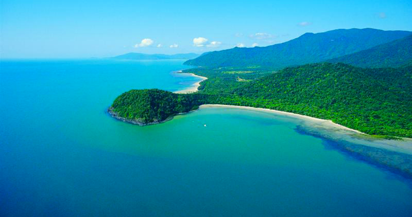 cape tribulation day tour cairns australia queensland adventure company