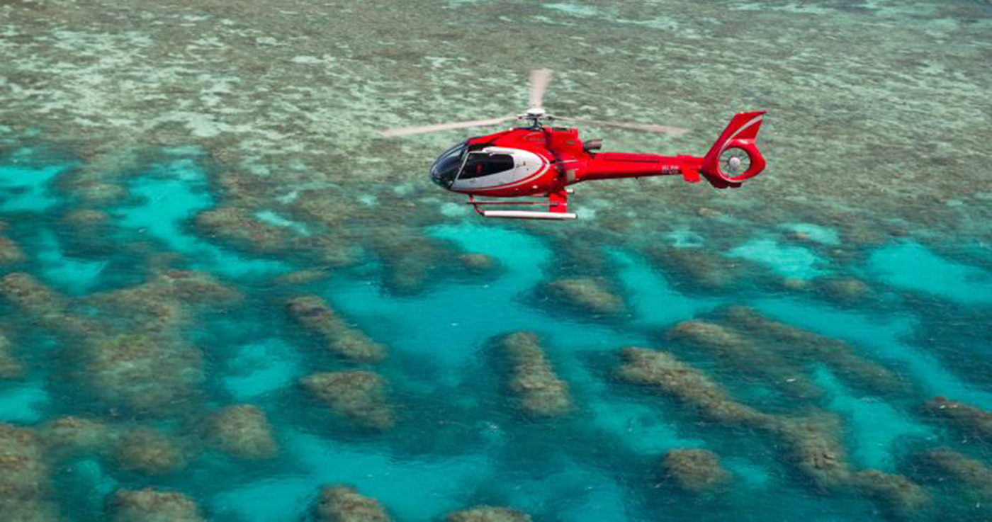 down under cruise and dive barrier reef scenic flight day trip cairns australia