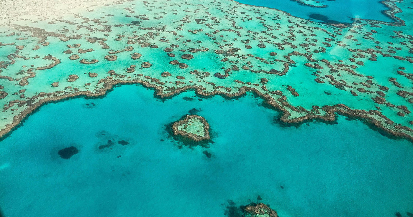 heart reef scenic flight great barrier reef airlie beach whitsundays australia