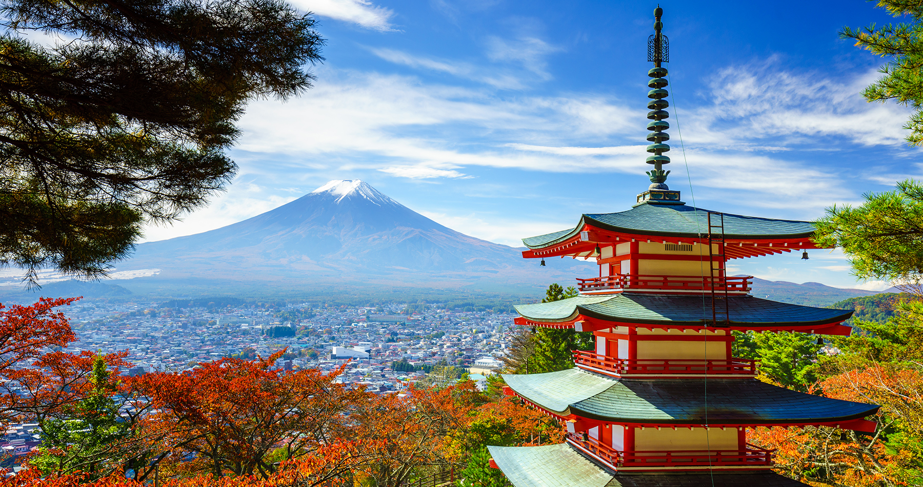 japan adventure group tour one life adventures backpacker tokyo mt fuji osaka kyoto