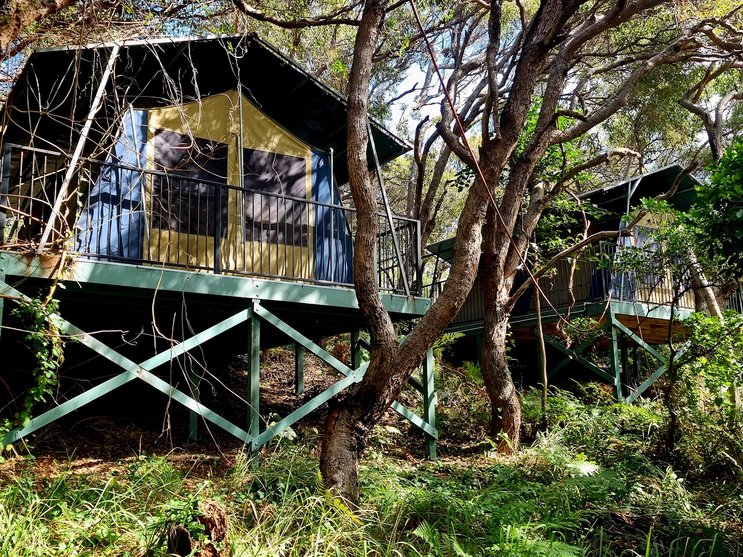 k'gari safari fraser island tour nomads fraser island east coast australia kgari safari
