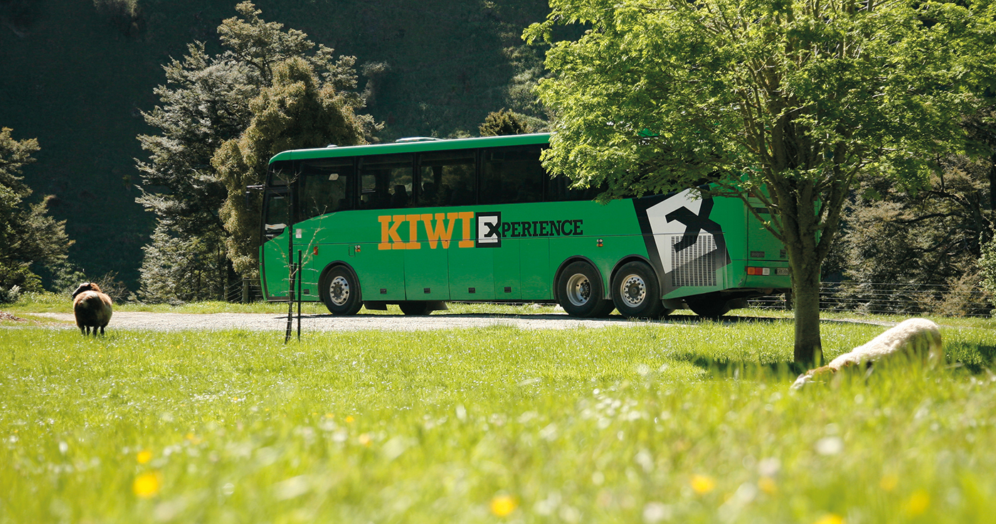 kiwi experience bus pass hop on hop off new zealand backpacker