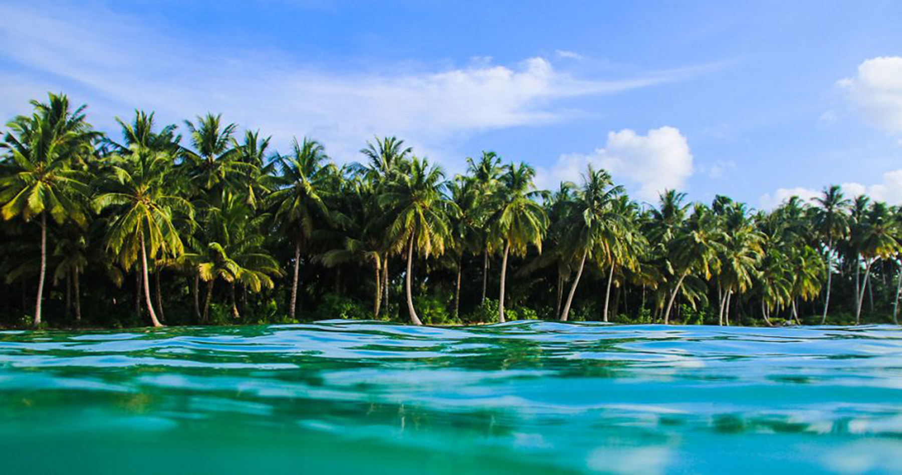 mentawai islands surf adventure surf camp mojo surf indo indonesia bali learn to surf