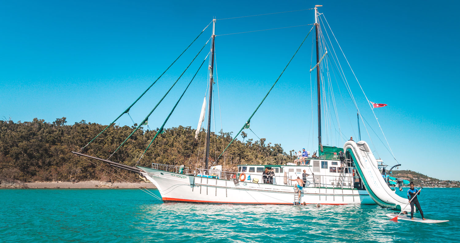 new horizon whitsundays sailing adventure australia backpacker airlie beach