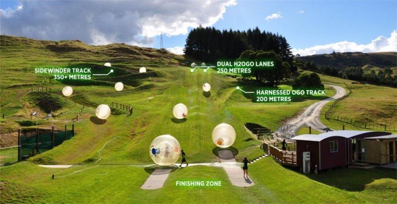ogo zorbing rotorua new zealand north island track