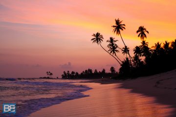 one life adventures sri lanka group tour backpacker south east asia