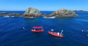 scuba dive in byron bay julian rocks australia padi ssi east coast