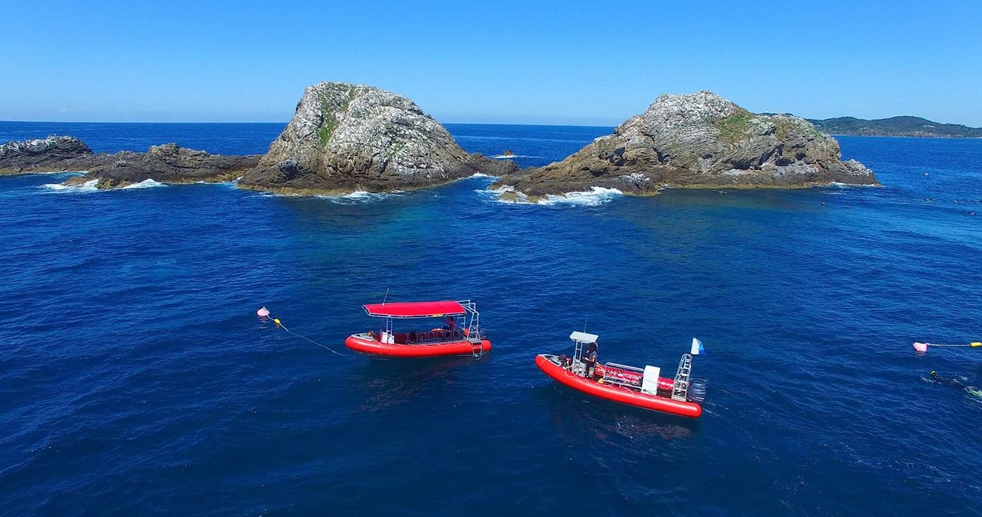 scuba dive in byron bay julian rocks australia padi ssi east coast