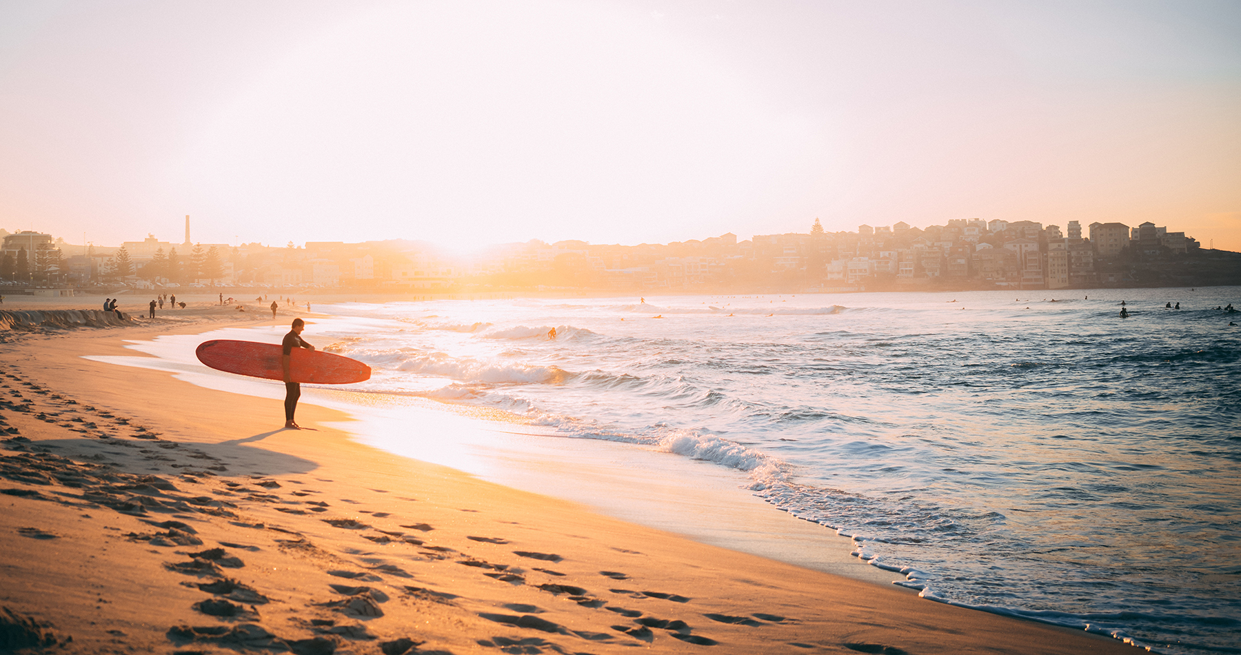 stray australia bus pass east coast backpacker hop on hop off sydney cairns byron bay 4