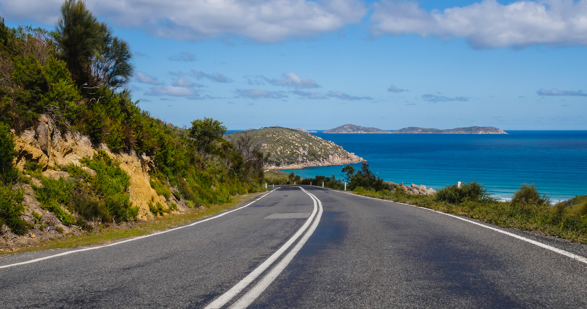 stray australia cairns sydney trev pass hop on hop off bus freestyle network east coast tour oz