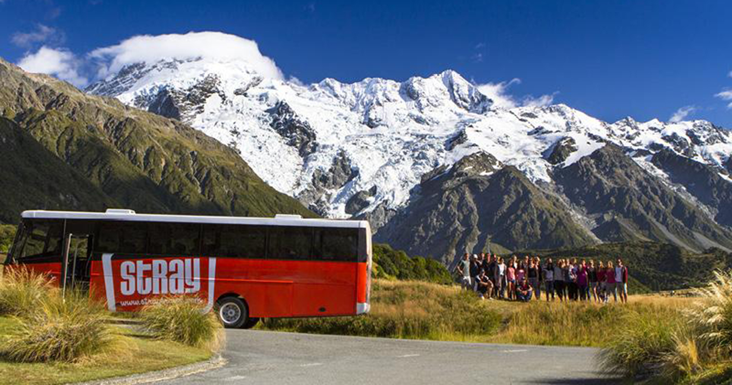 stray new zealand hop on hop off bus pass kiwi backpacker