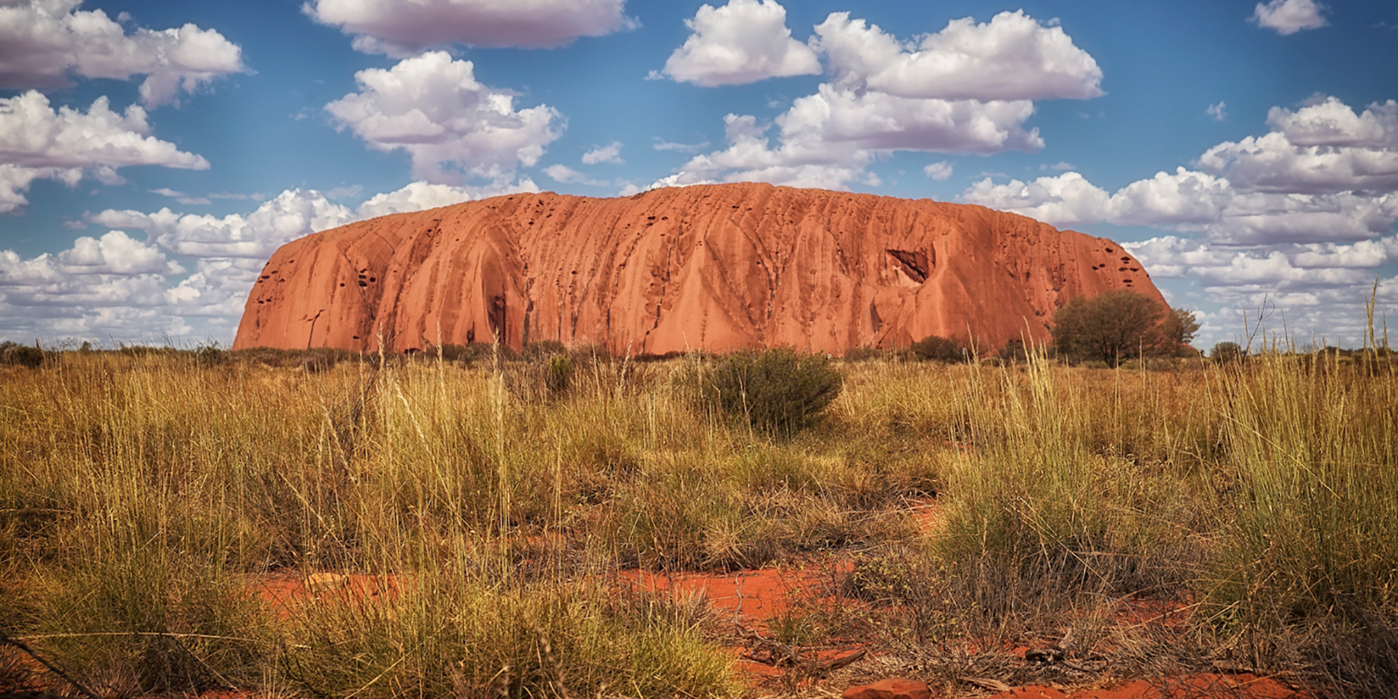 uluru day tour from alice springs emu run red centre