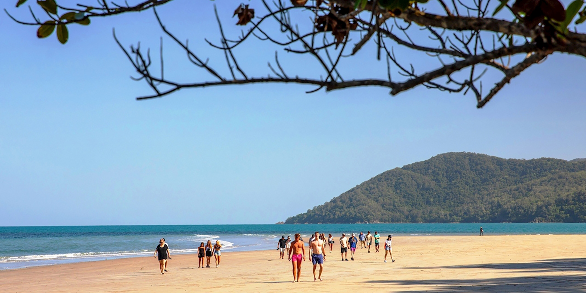 uncle brians cape tribulation cairns waterfall tour overnight cairns rtw backpackers australia