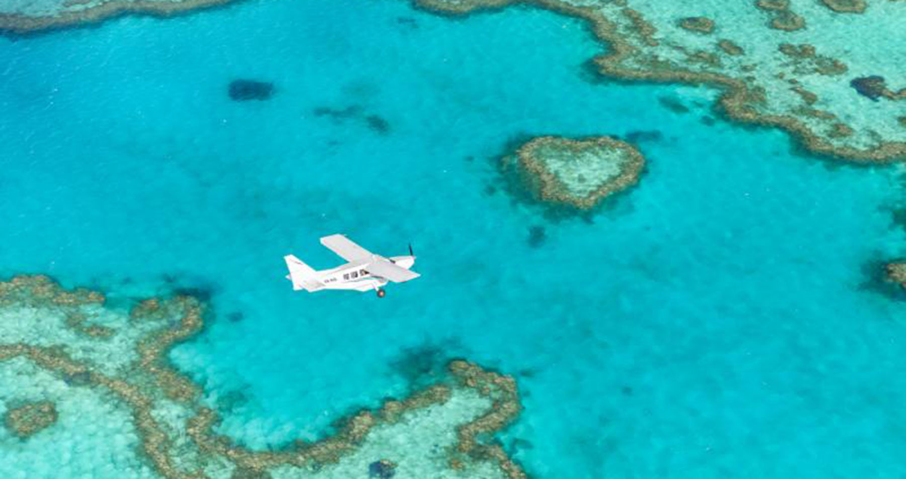 whitsundays islands scenic flight heart reef airlie beach whitehaven beach backpacker combo